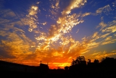 IIP Online Student Photography